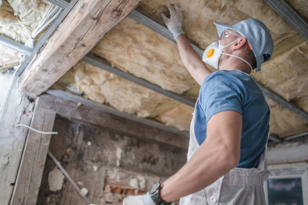 Best Geographic-Specific Insulation Services in Breckenridge, CO
